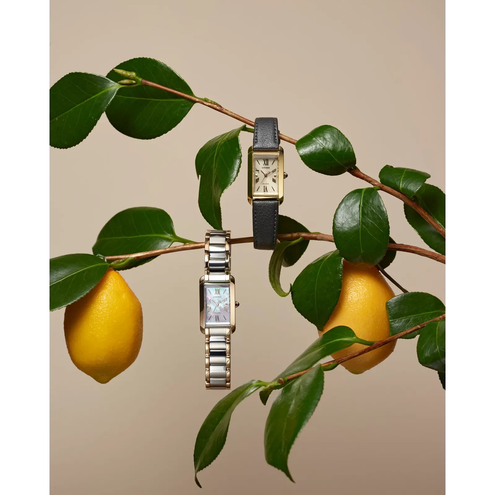 Citizen Citizen L Bianca EW5624-54Y