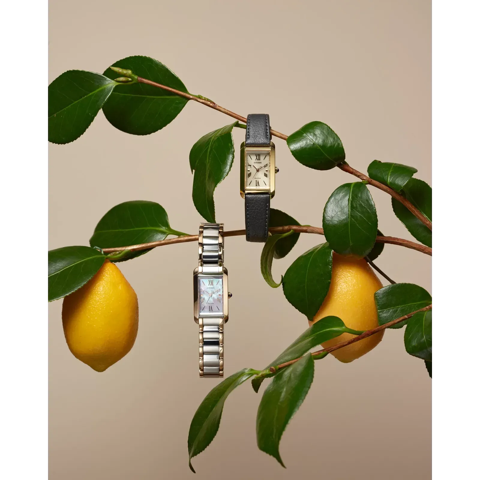 Citizen Citizen L Bianca EW5624-54Y