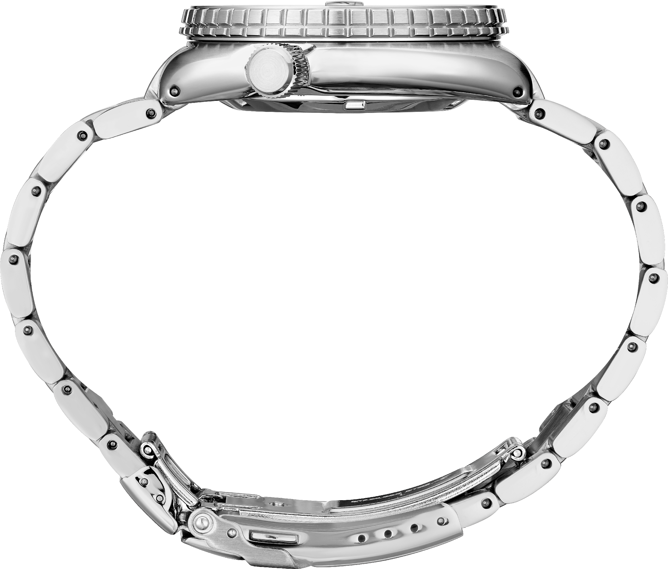 Seiko Prospex King Turtle Padi Edition Watch SRPG19
