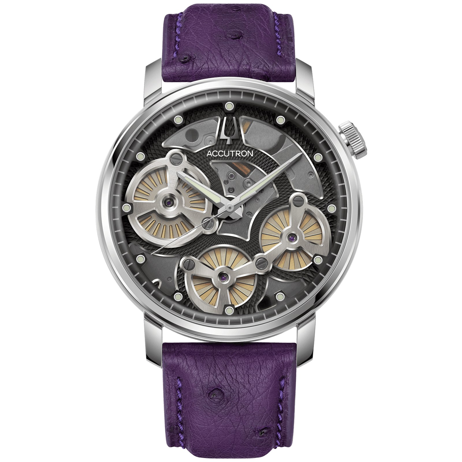 Accutron Stainless Steel Electrostatic Mens Watch 26A210LK
