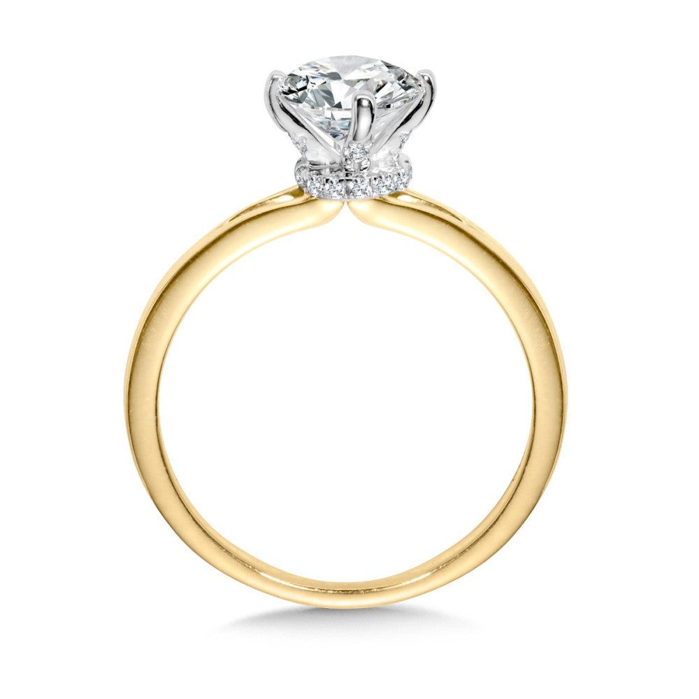 Valina Split Shank Diamond Engagement Ring R2460YW-SR