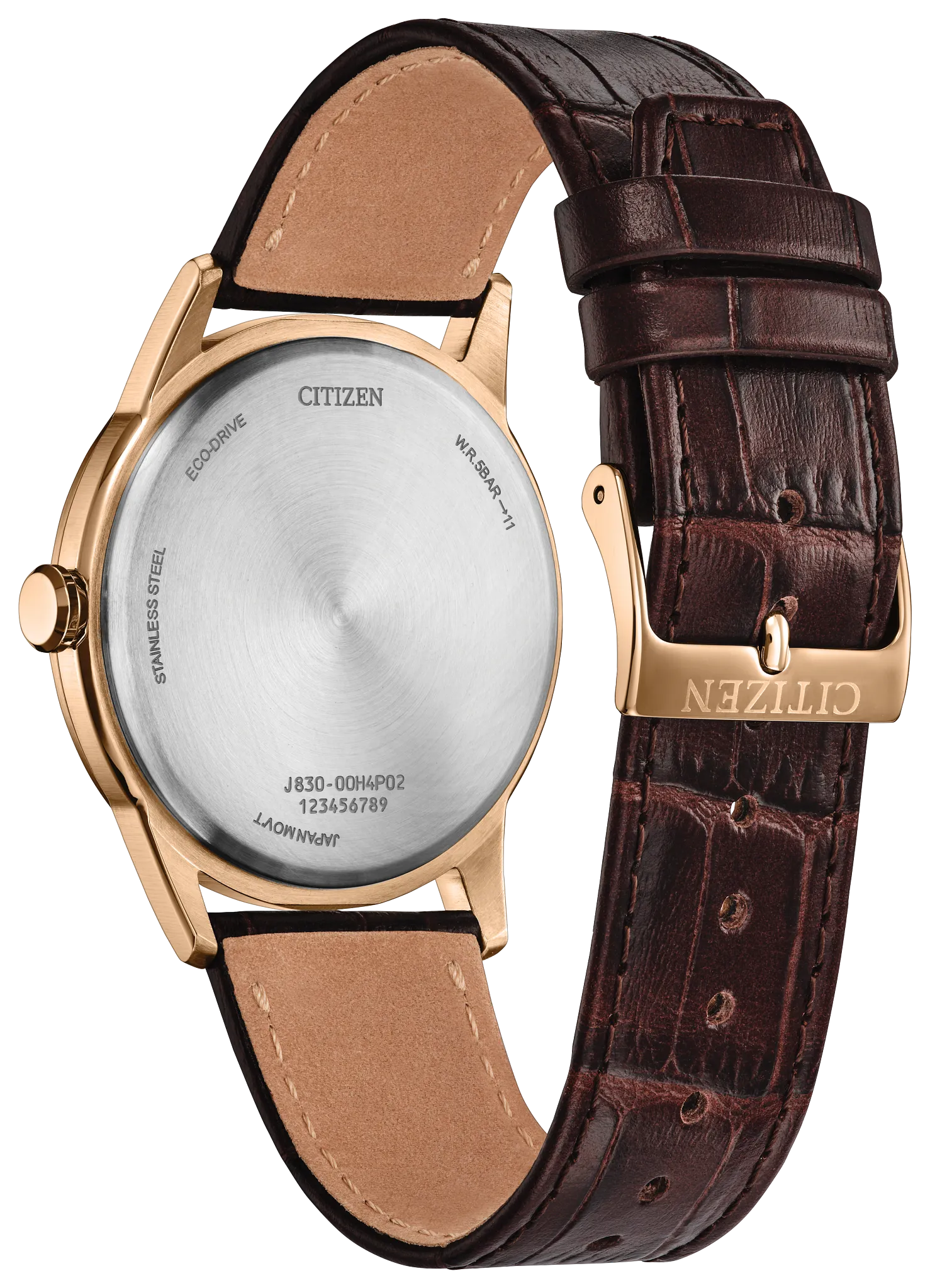 Rolan AW2113-16X