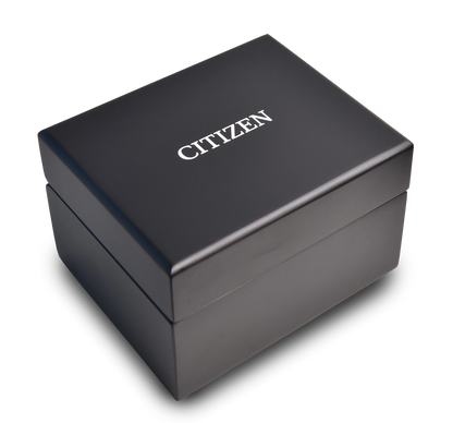 Citizen Attesa AT8296-53A