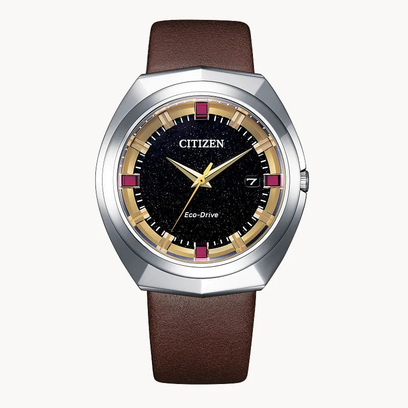 Citizen Eco-Drive 365 BN1010-05E