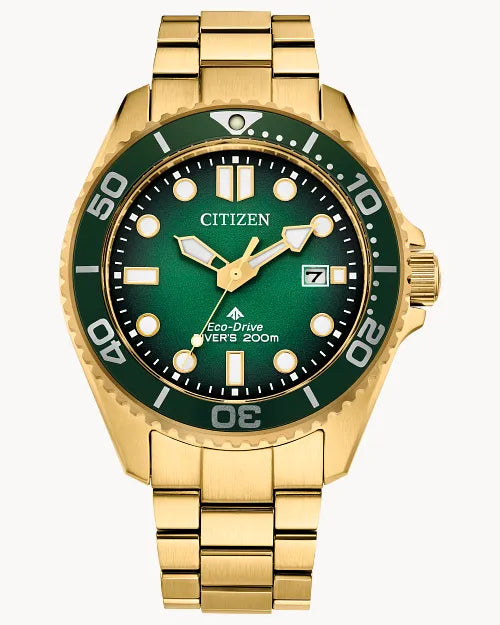 Citizen Promaster Dive BN0262-59W