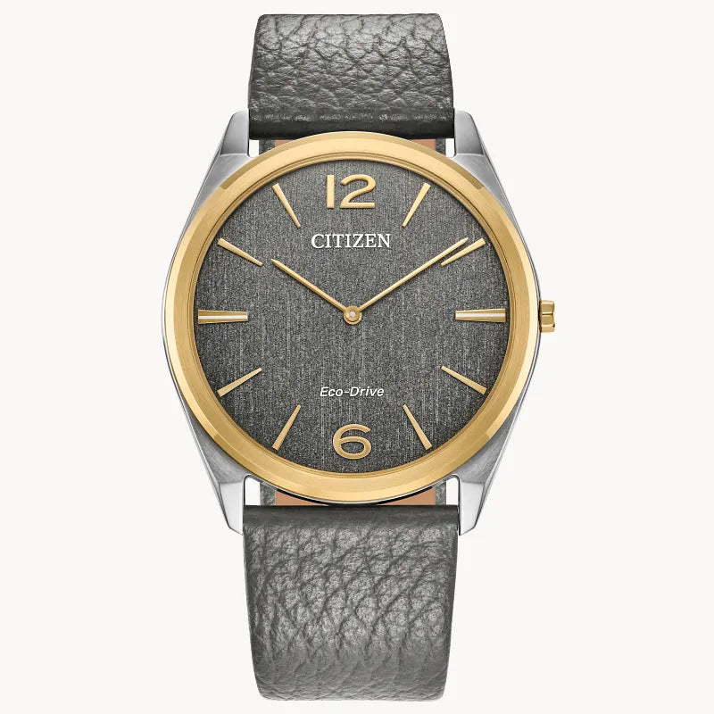 Citizen Suratto AR3124-07H