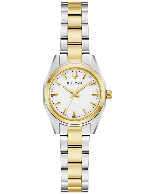 Surveyor Watch 98L331