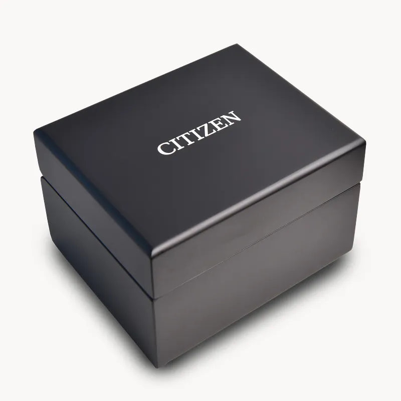 Citizen The Citizen AQ4100-57M