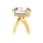 Hidden Halo