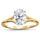 Split Shank