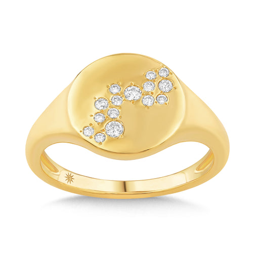 14K Gold & Diamond Druzy Signet Ring FR1012Y