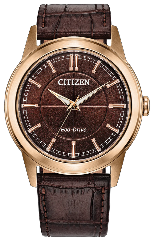 Rolan AW2113-16X
