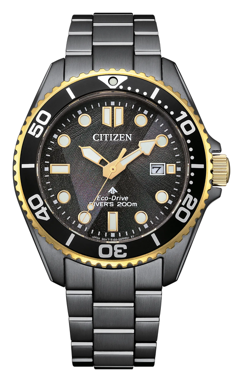 Promaster Dive LIGHT in BLACK BN0264-53E