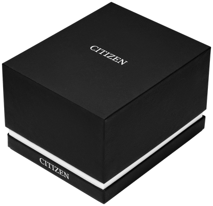 citizen-rolan-fe7130-10d
